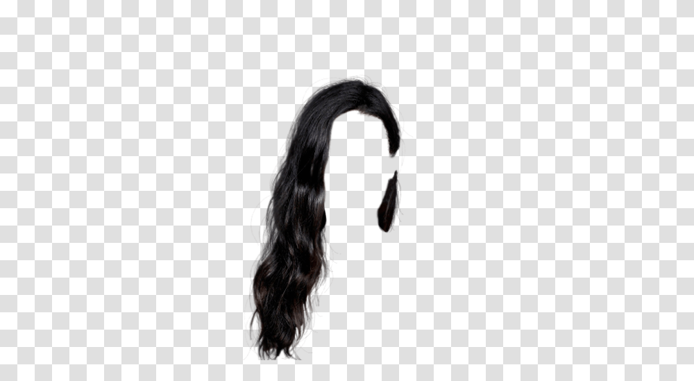 Hair In V Hair Hair Styles And Doll Hair, Black Hair, Ponytail Transparent Png
