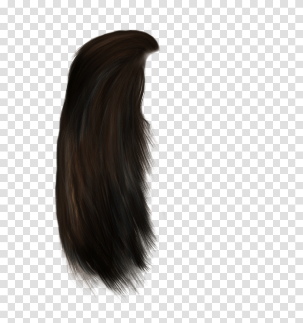 Hair Lace Wig, Person, Human, Haircut Transparent Png