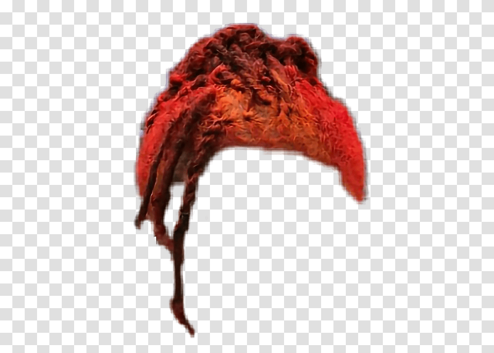 Hair Lil Uzi Vert Liluzivert Uzivert Liluzi Red Redhair Lil Uzi Hair, Mountain, Outdoors, Nature, Animal Transparent Png