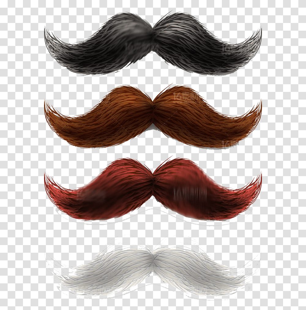 Hair Men Brown Mustache Beard Clipart Transparent Png
