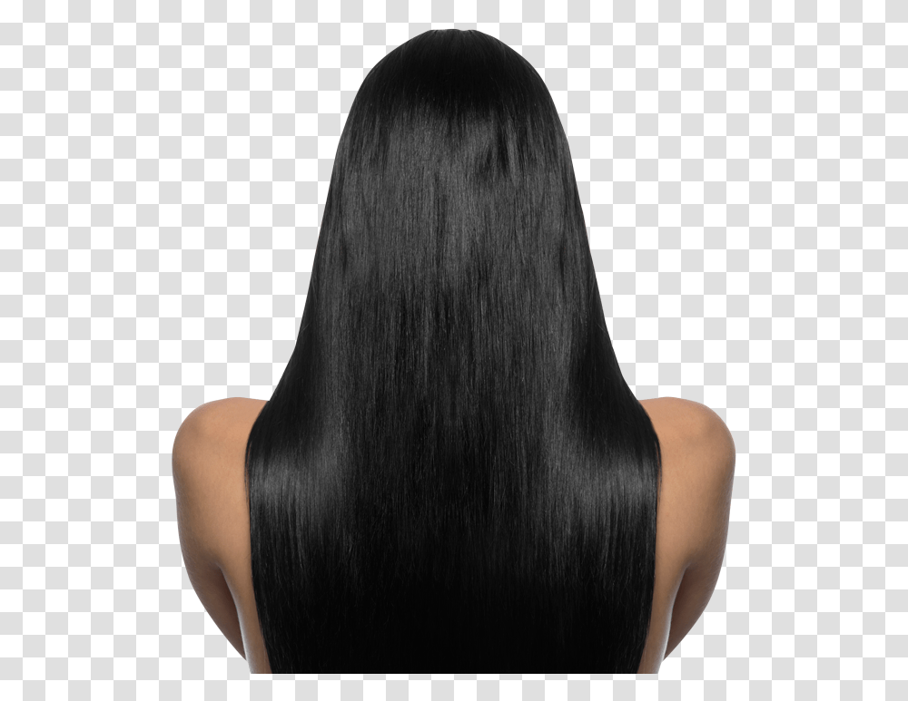 Hair Model Back, Person, Human, Black Hair, Wig Transparent Png