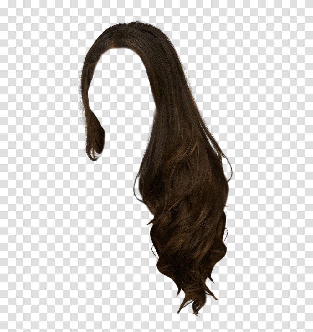 Hair, Person, Back Transparent Png