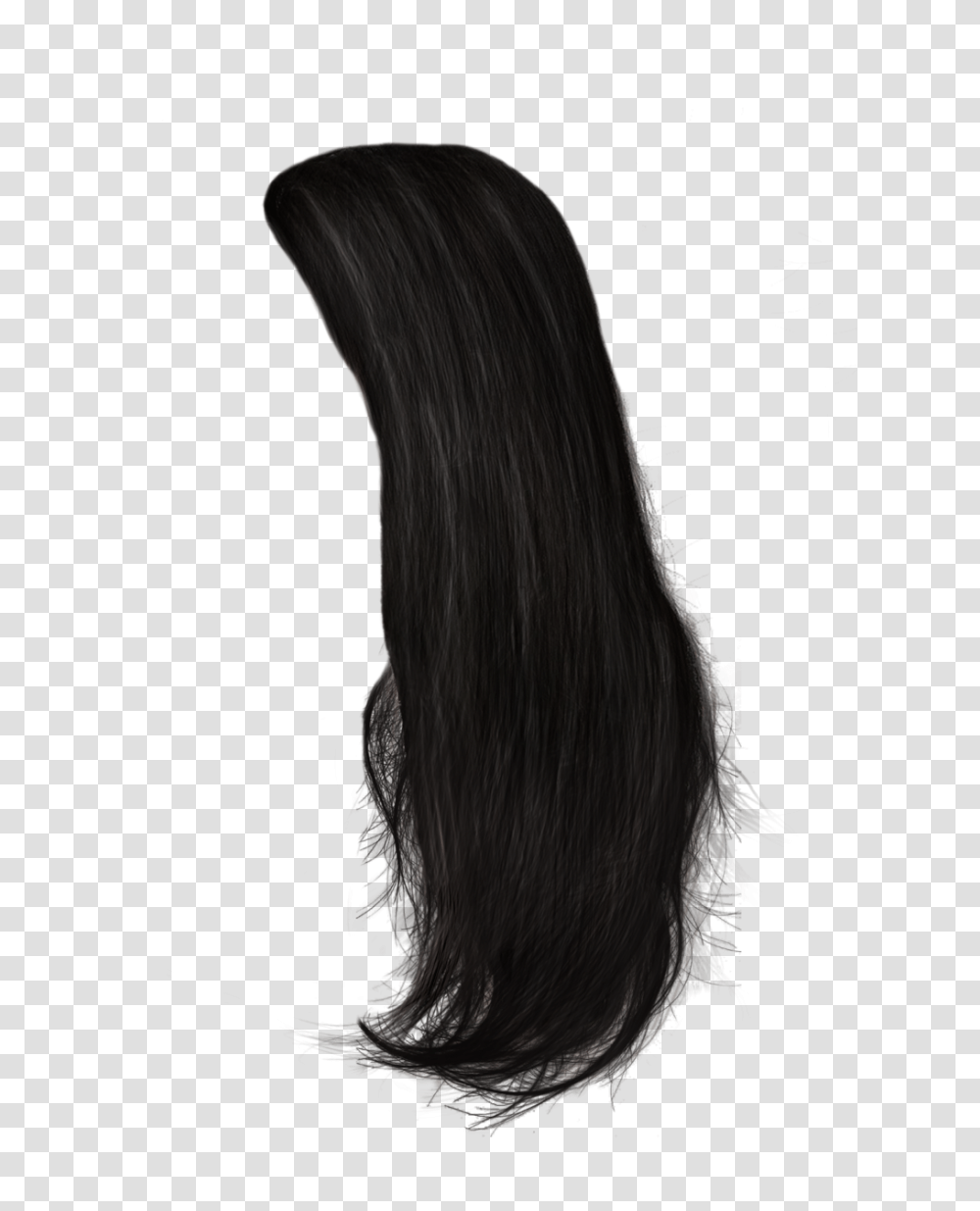 Hair, Person, Bird, Black Hair, Wig Transparent Png