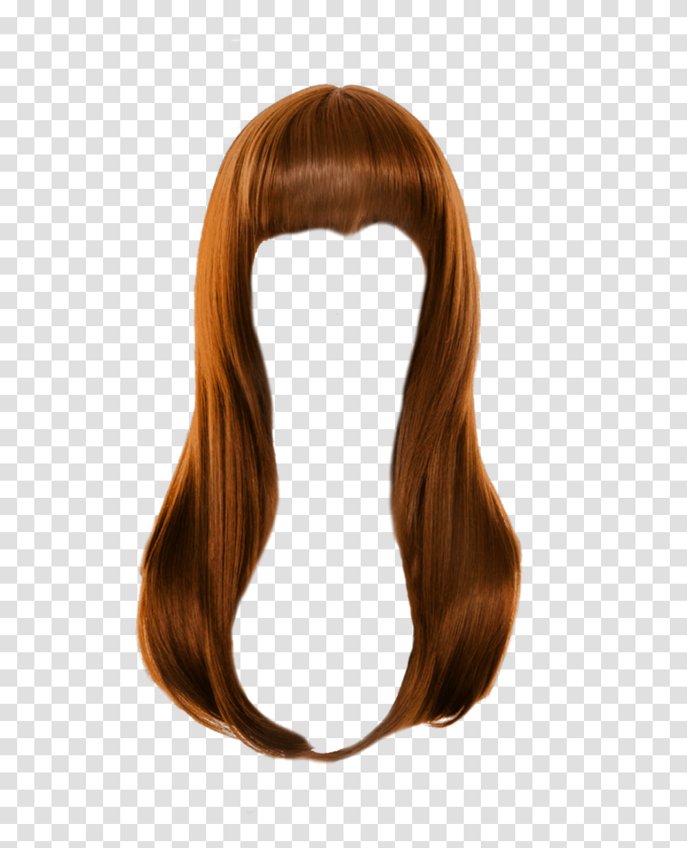 Hair, Person, Wig, Bird, Animal Transparent Png