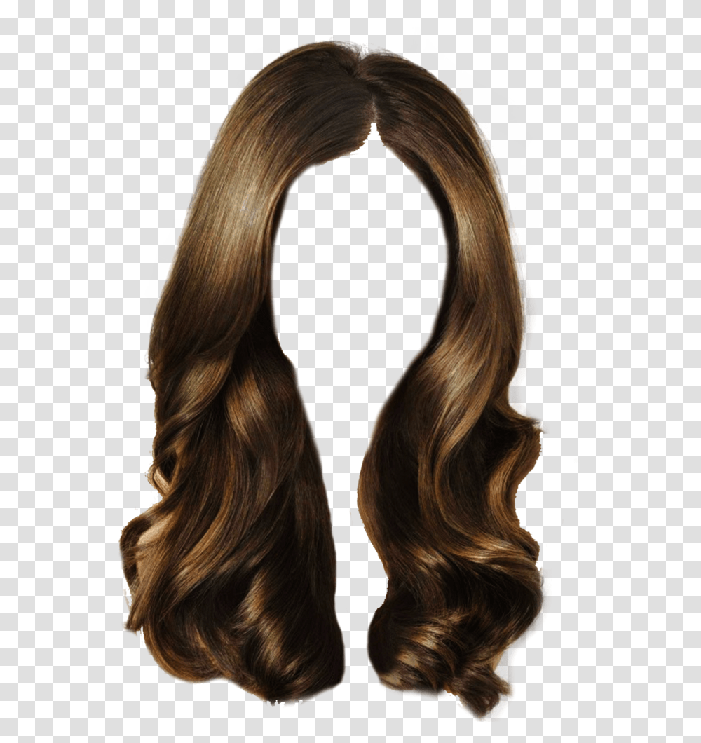 Hair, Person, Wig, Horse, Mammal Transparent Png