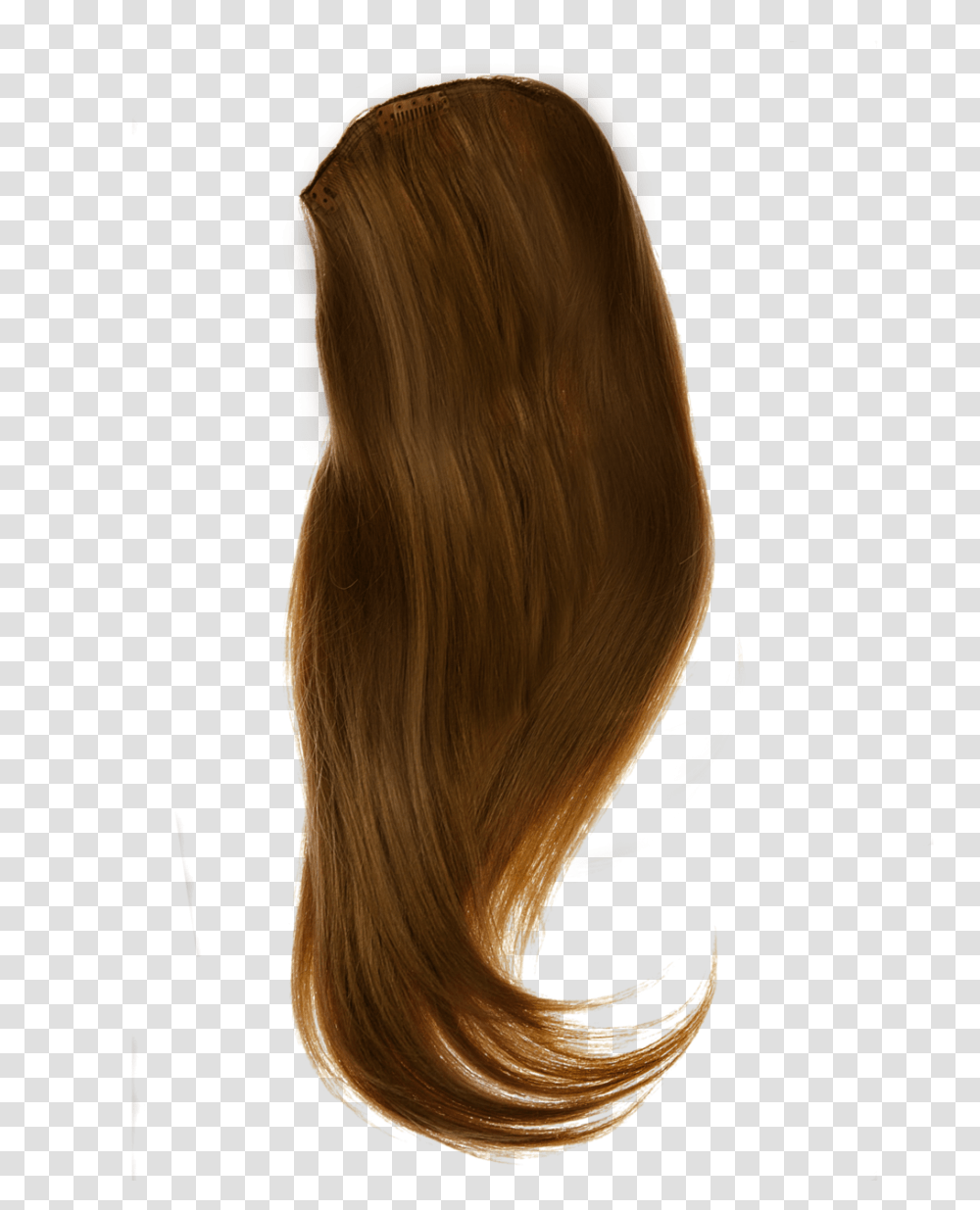 Hair, Person, Wig, Ponytail Transparent Png