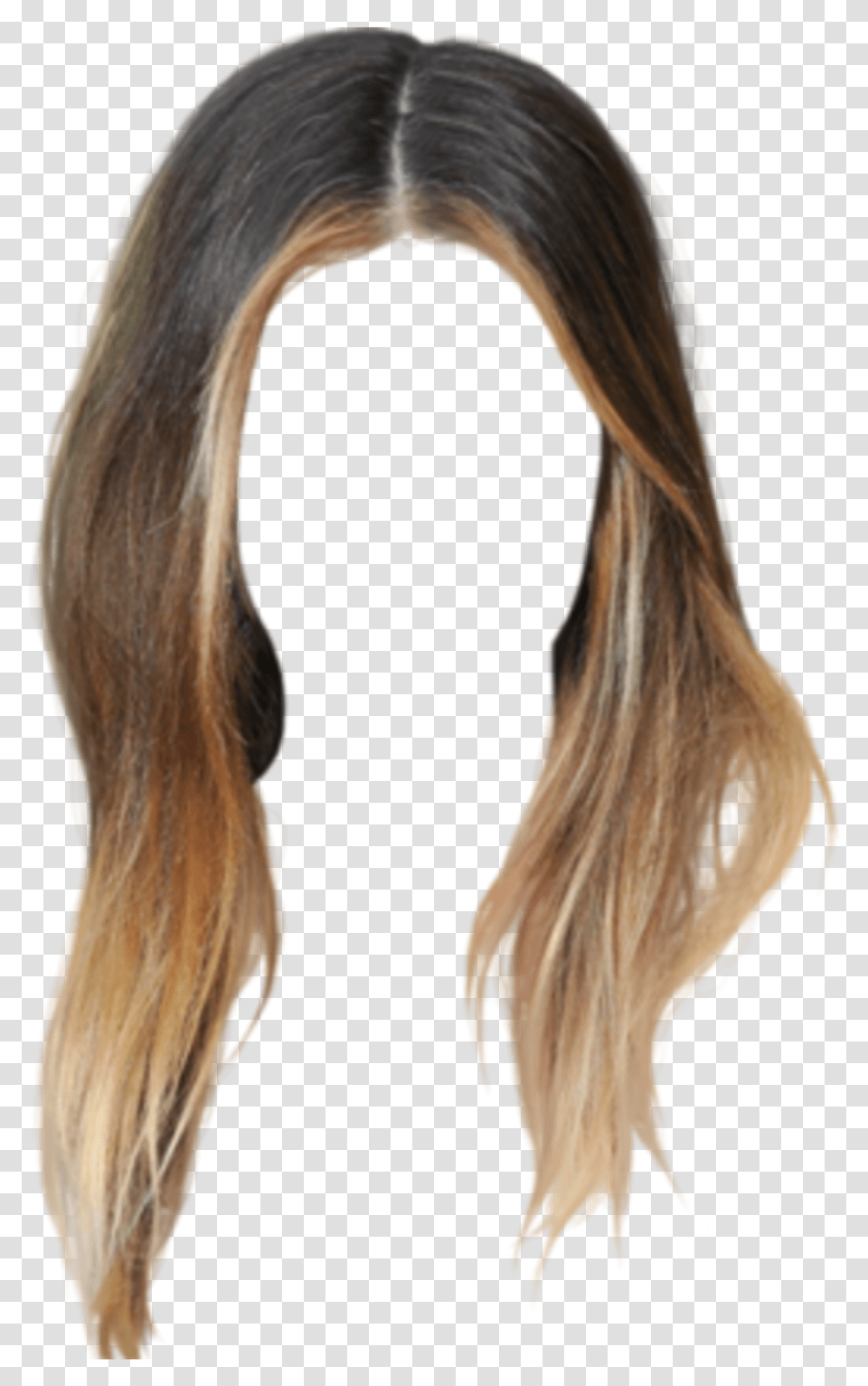Hair Photoshop Wig Lace Wig, Horse, Mammal, Animal Transparent Png