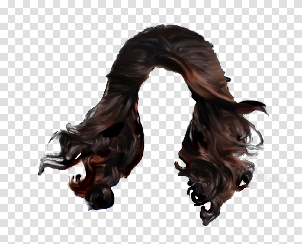 Hair Pic Long Guy Hair Wig, Person, Leisure Activities, Performer Transparent Png