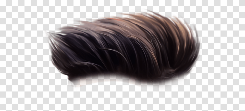 Hair Picsart Full Hd Hair Full Hd, Cushion, Mammal, Animal, Pillow Transparent Png