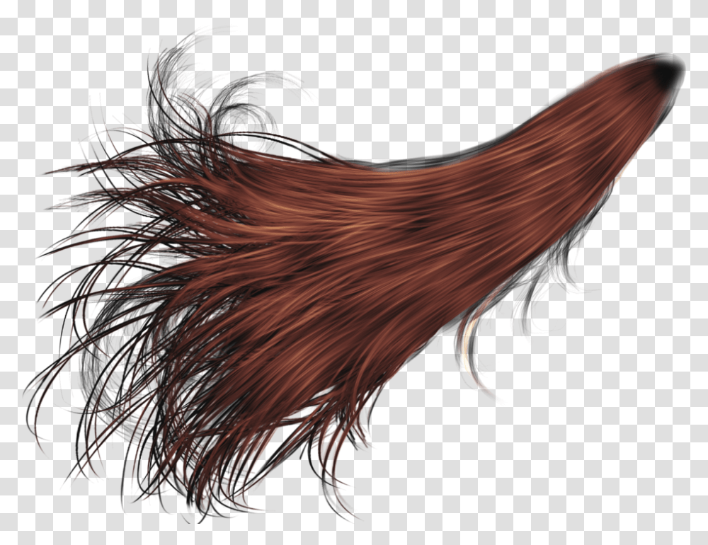 Hair Pony Tail, Light, Flare, Lighting, Pattern Transparent Png