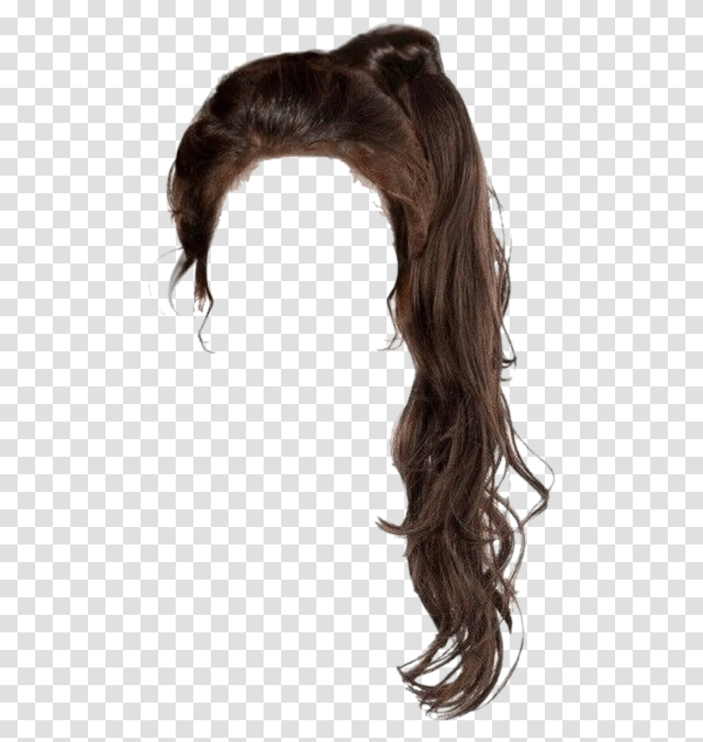Hair Ponytail Brunette Brown Brownhair Hairup Brown Ponytail Hair Transparent Png