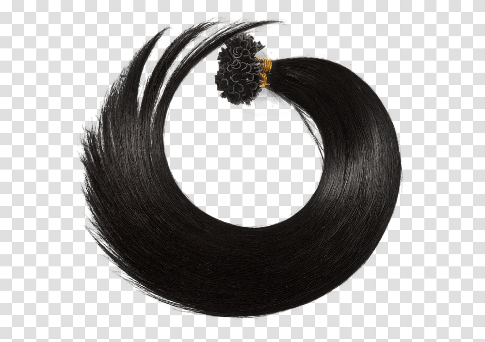 Hair Riah I Extensions & Lashes Hair Design, Tape, Coil, Spiral, Text Transparent Png