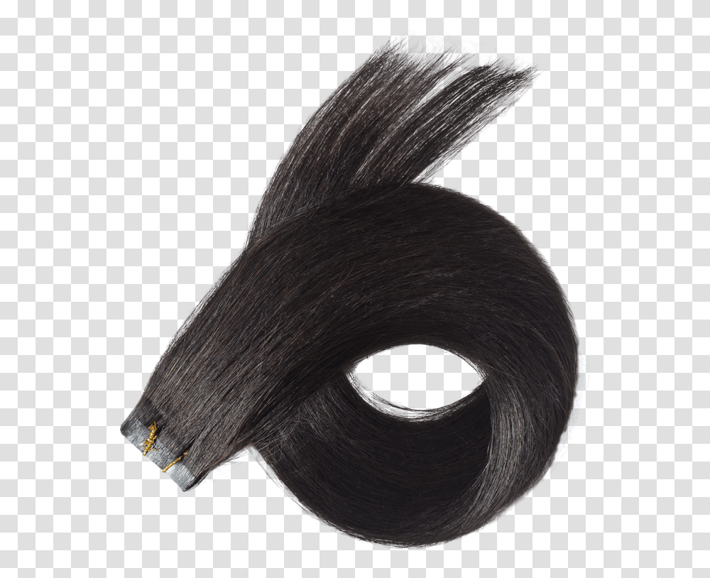 Hair Riah I Extensions & Lashes Solid, Bird, Animal, Machine, Hole Transparent Png