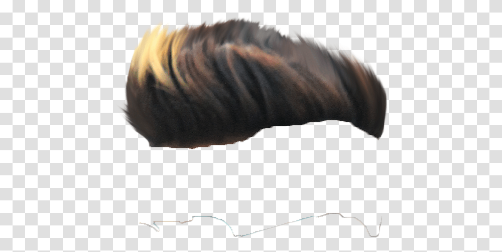 Hair Side Look, Nature, Outdoors, Person, Weather Transparent Png