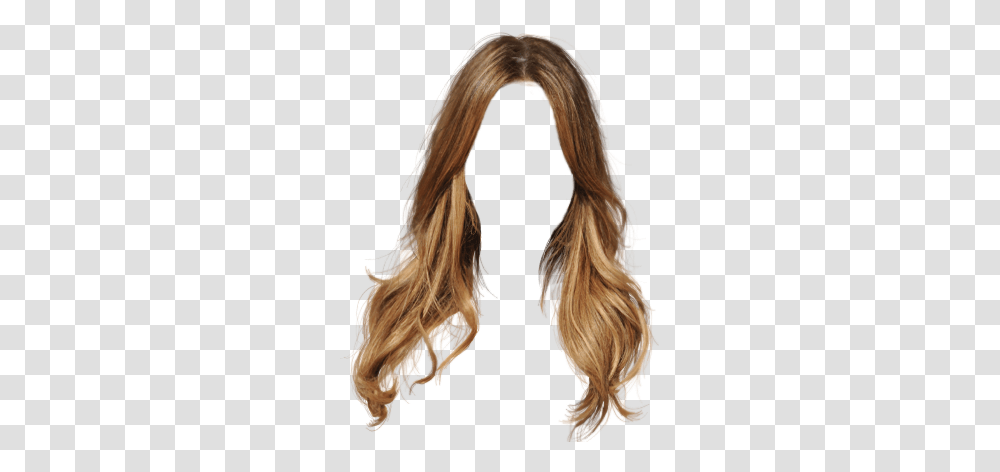 Hair Sketch Hair Long Brunette, Person, Human, Ponytail, Wig Transparent Png
