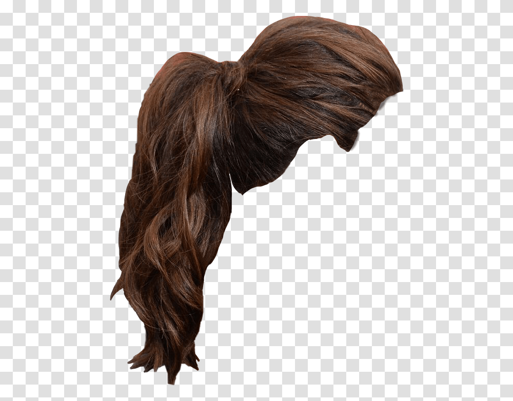 Hair Sticker By Rendrantt Hair Design, Face, Person, Horse, Mammal Transparent Png