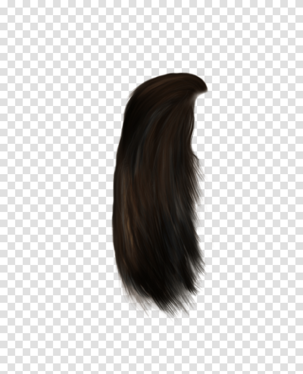 Hair Strand 5 Image Lace Wig, Person, Human, Haircut, Head Transparent Png