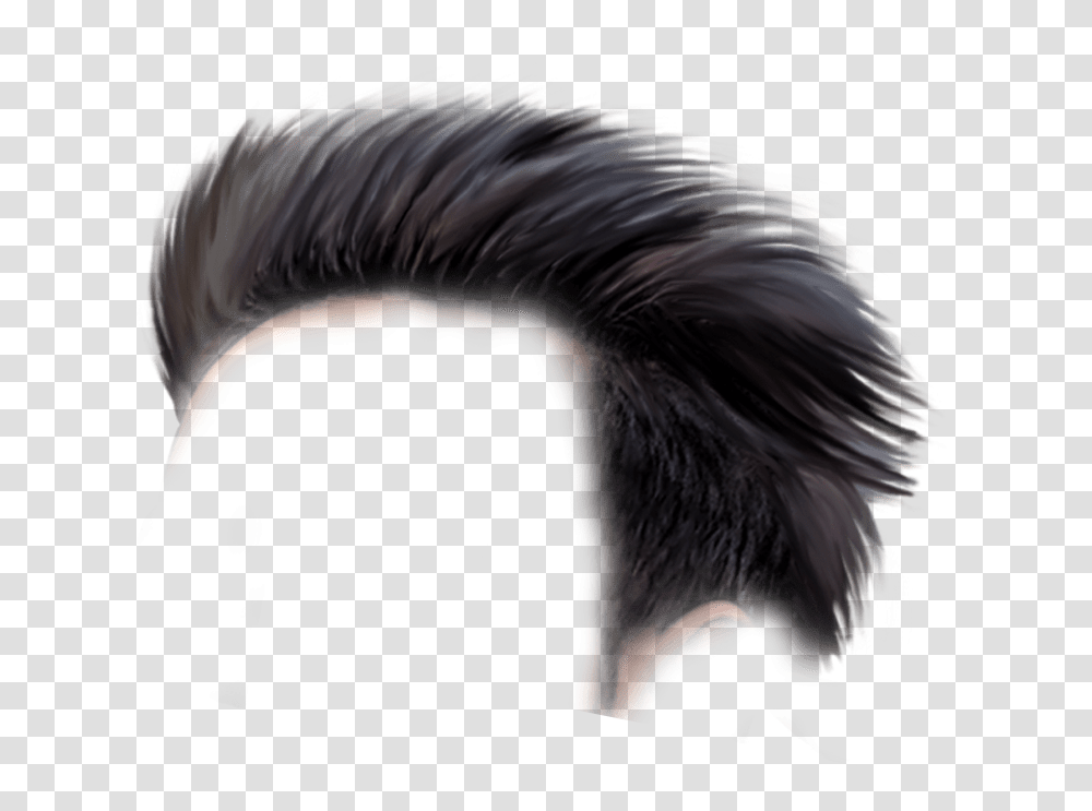 Hair Style Boys Background, Person, Human Transparent Png