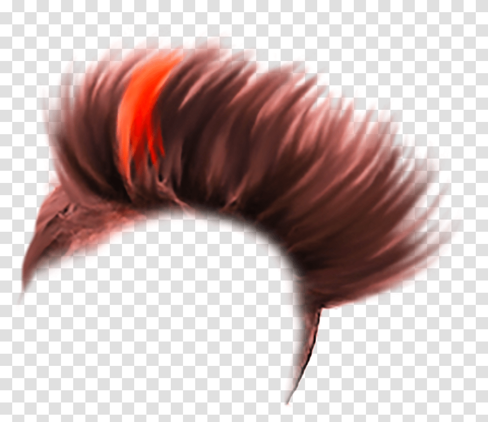 Hair Style Hd, Pattern, Animal, Person, Human Transparent Png