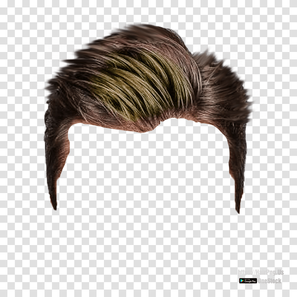 Hair Style With Hairstyle 85 Images In Collection Low Short Male Haircut, Ponytail, Graphics, Art Transparent Png