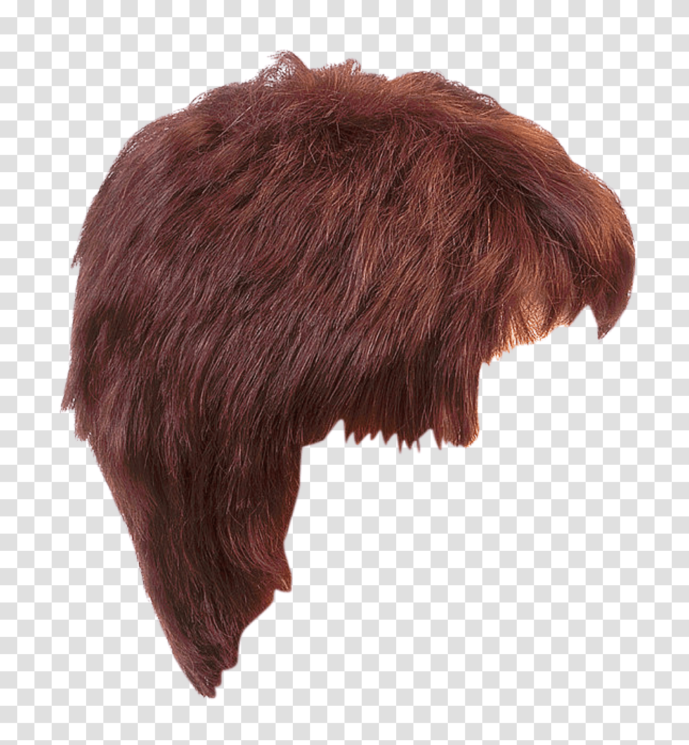 Hair Styles Hairstyle, Fur, Cushion, Long Sleeve, Clothing Transparent Png