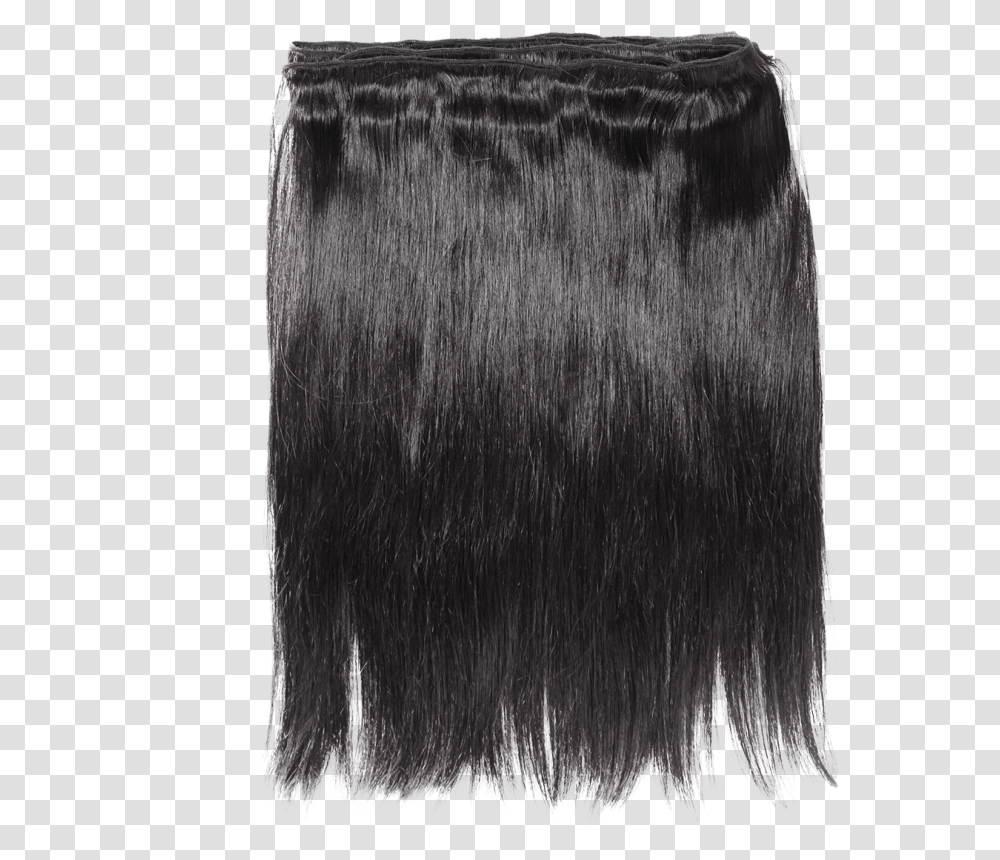 Hair Texture Lace Wig, Fur, Bird, Animal, Rug Transparent Png