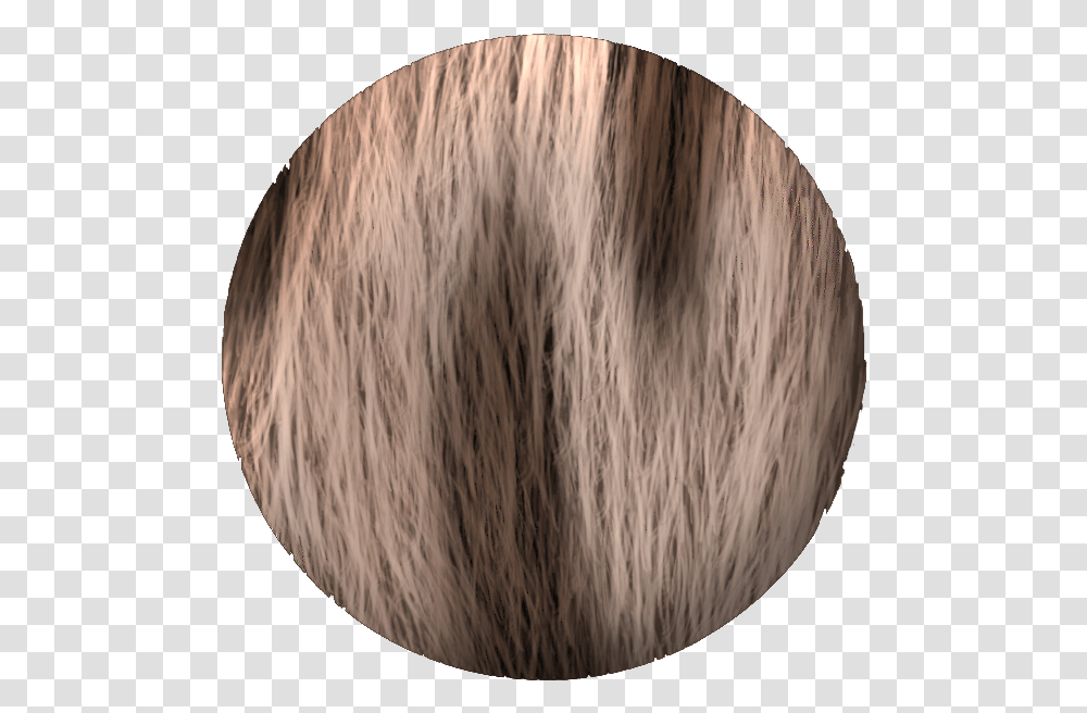 Hair Texture Ombr, Plant, Balloon, Food, Sphere Transparent Png