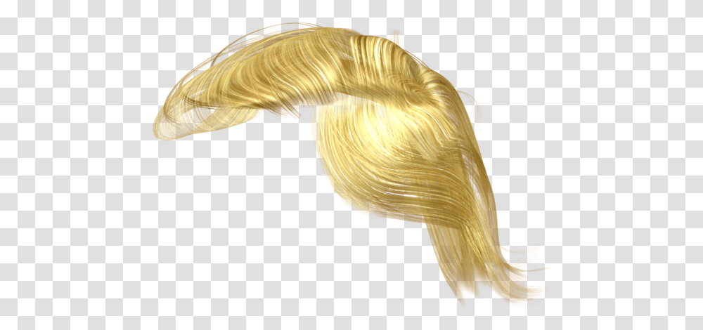 Hair Trump, Fungus, Wood, Plywood, Ivory Transparent Png