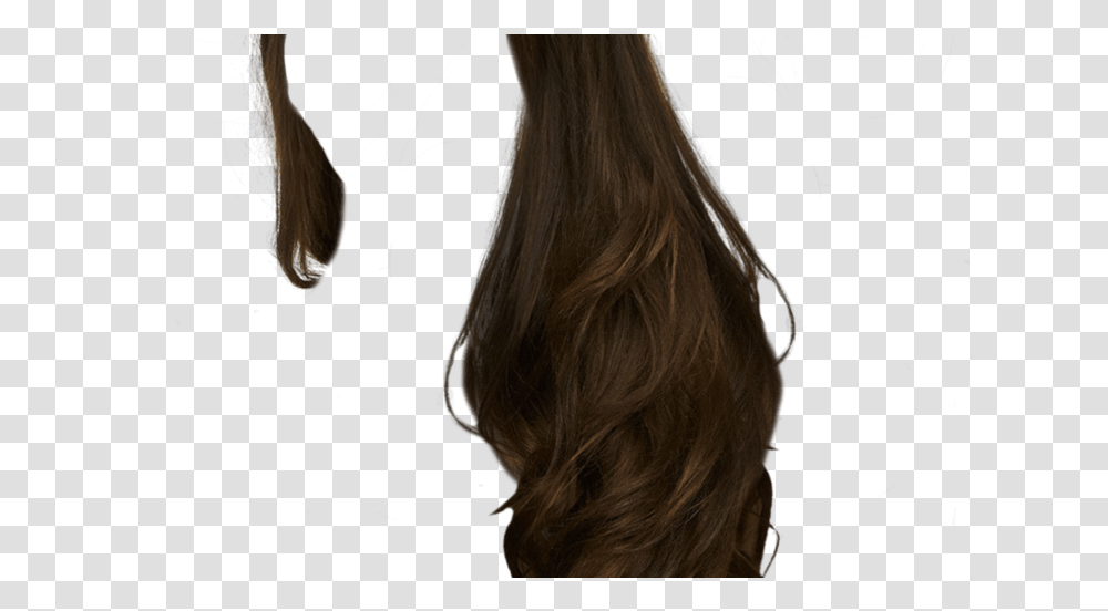 Hair Web Icons Hair Extensions, Person, Human, Haircut, Wig Transparent Png