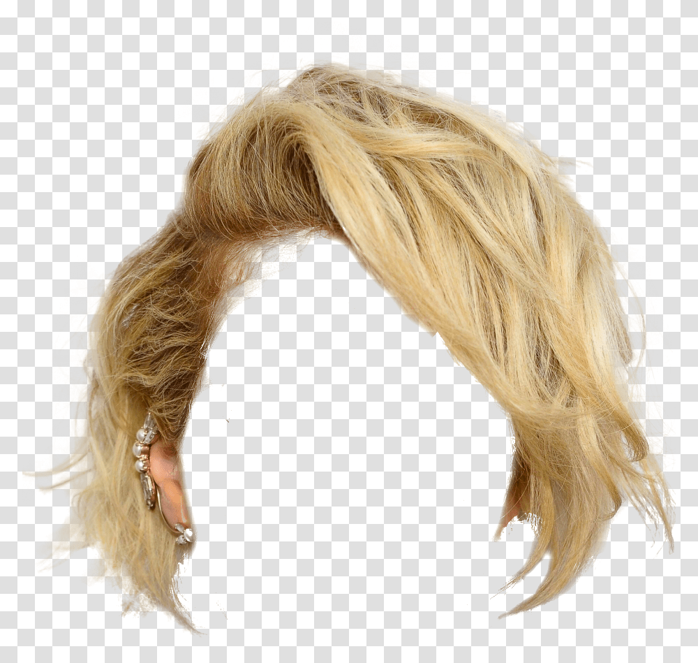 Hair Wig Background, Person, Human, Horse, Mammal Transparent Png