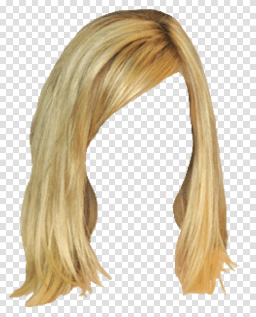Hair Wig Extensions Blonde Hairstyle, Ponytail, Bird, Animal, Person Transparent Png