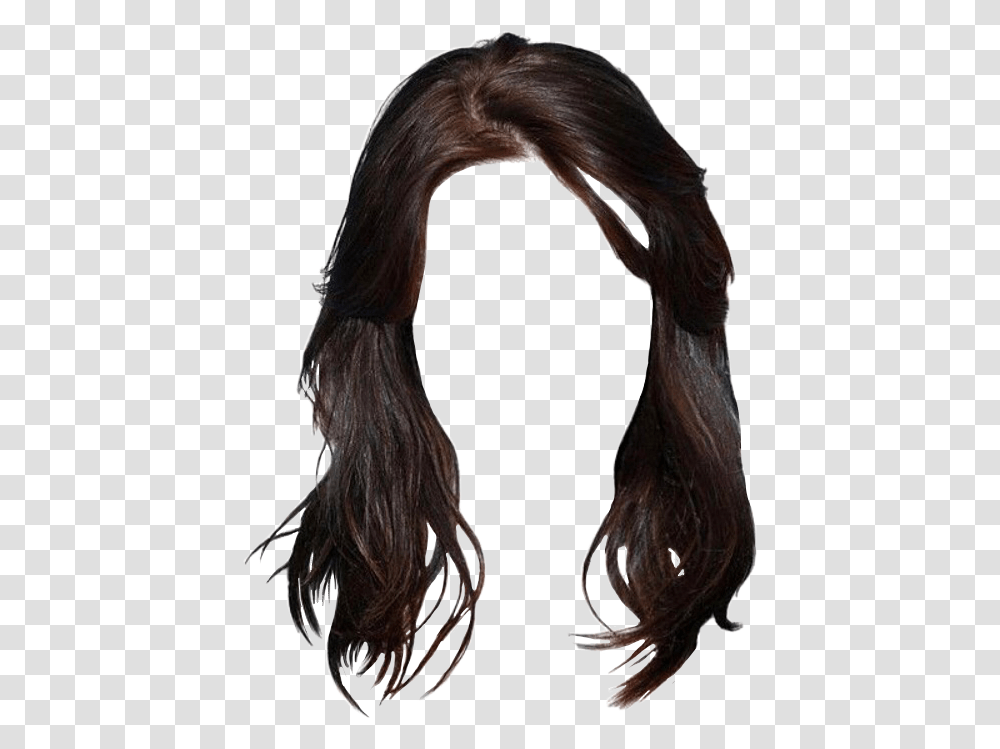 Hair Wig Freetoedit Background Brown Hair, Ponytail, Person, Human Transparent Png