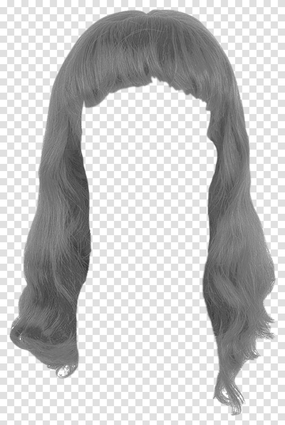 Hair Wig Girls Hair, Apparel, Horse, Mammal Transparent Png
