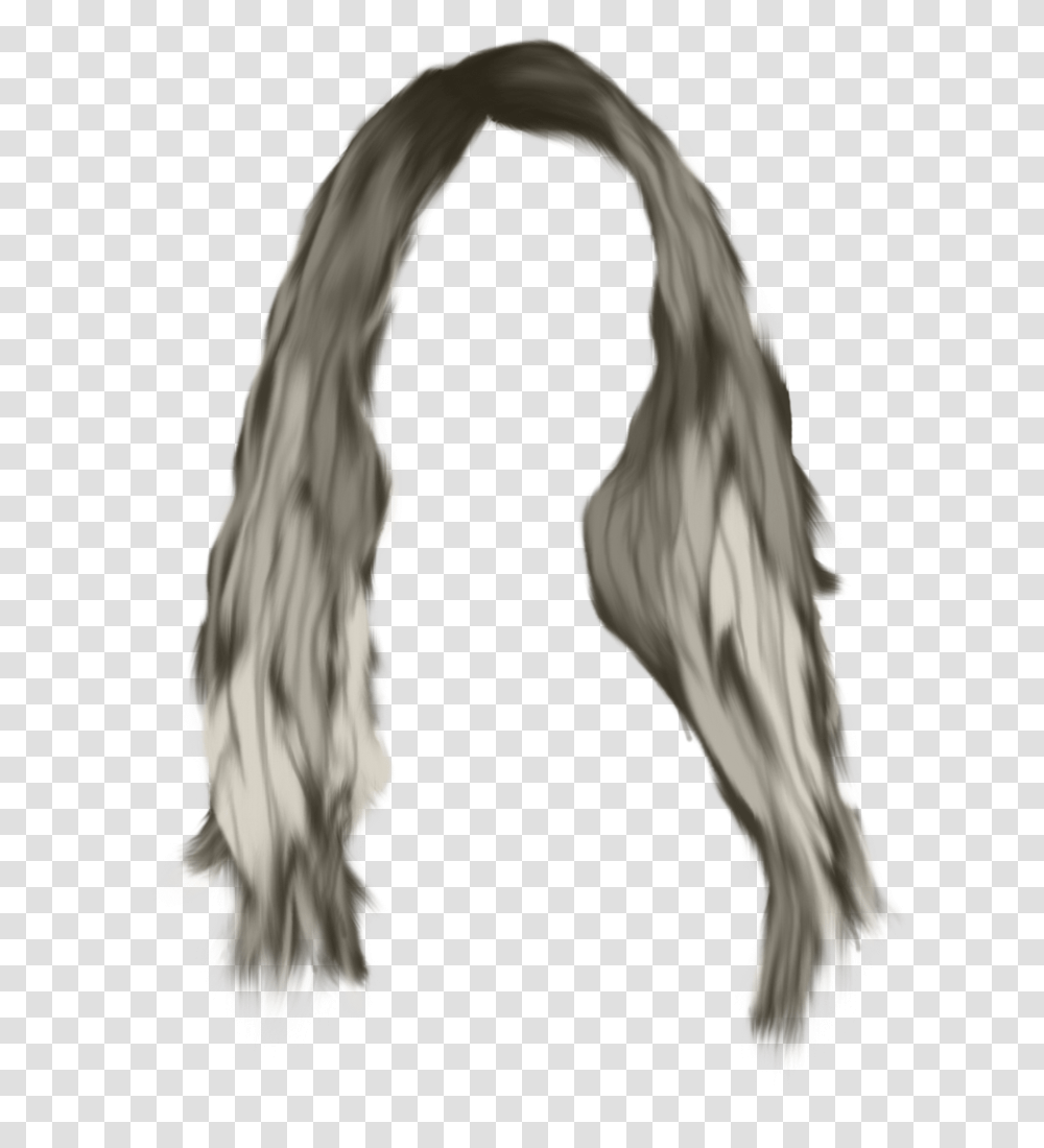 Hair Wig Long Grey Hair, Person, Plant Transparent Png