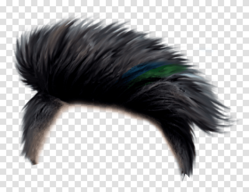 Hair Wig Man Hair Style, Nature, Bird, Animal, Outdoors Transparent Png