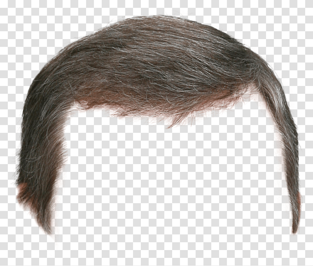 Hair Wig Parik, Animal, Bird, Horse, Mammal Transparent Png