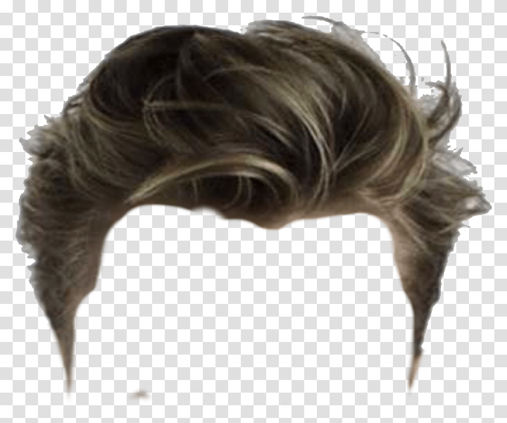 Hair Wig, Person, Human Transparent Png