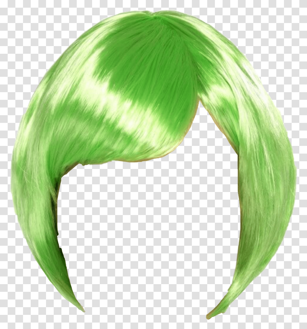 Hair Wigstickers Wig Green Greenhair Freetoedit Green Wig, Plant, Bird, Animal, Accessories Transparent Png