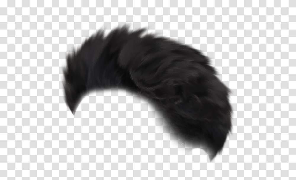 Hair Zero Movie Poster Editing Background Quill, Bird, Animal, Dog, Pet Transparent Png