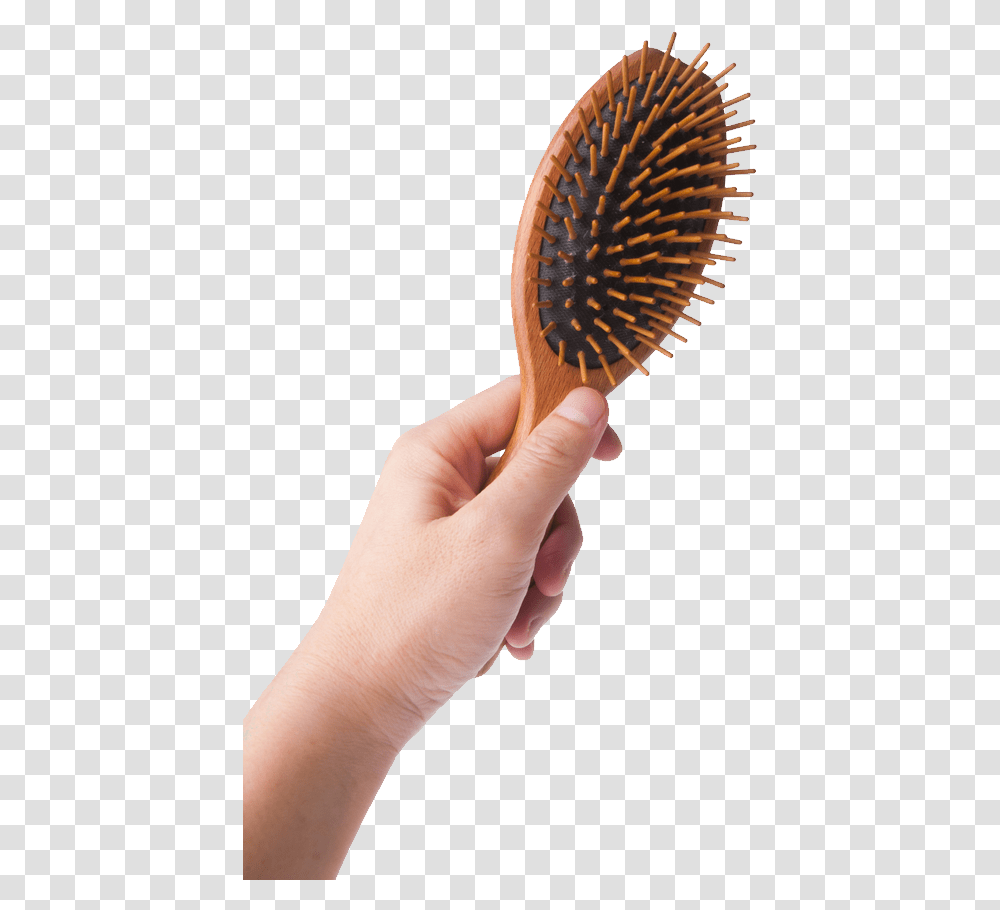 Hairbrush Hand Holding A Hair Brush, Person, Human, Tool, Toothbrush Transparent Png