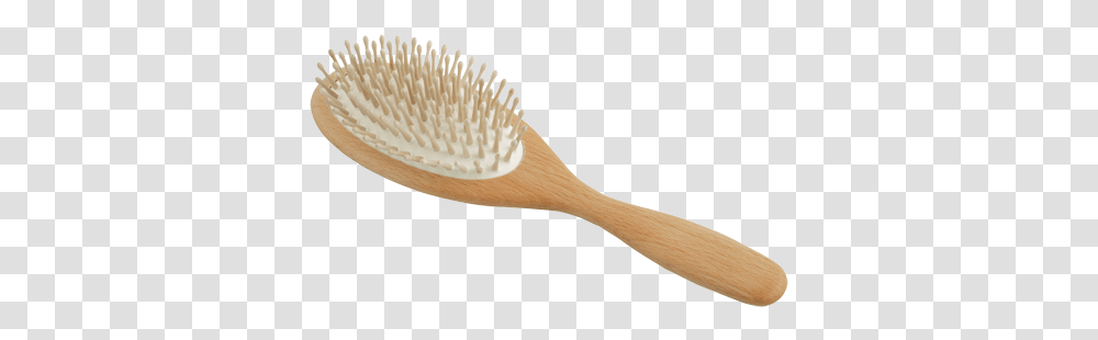 Hairbrush Oval With Wood Pegs Beechwood Wooden Hair Brush, Tool, Toothbrush Transparent Png