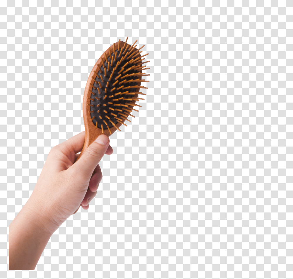 Hairbrush, Person, Human, Tool, Toothbrush Transparent Png