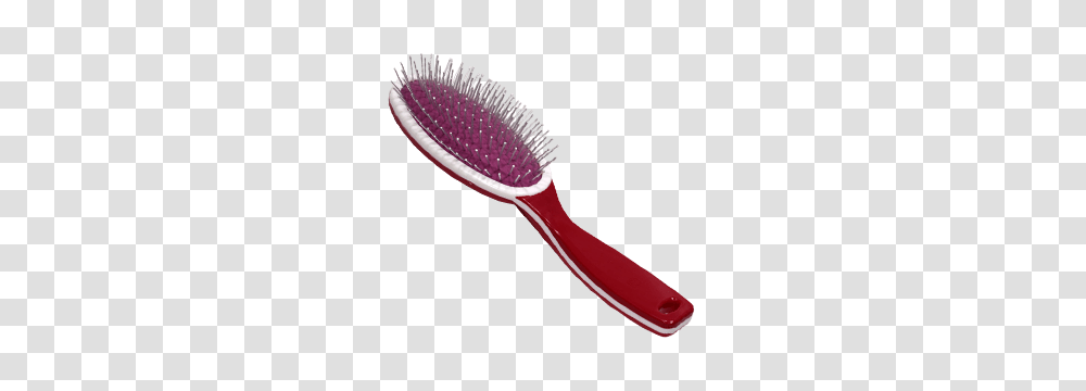 Hairbrush, Tool, Toothbrush, Spoon, Cutlery Transparent Png