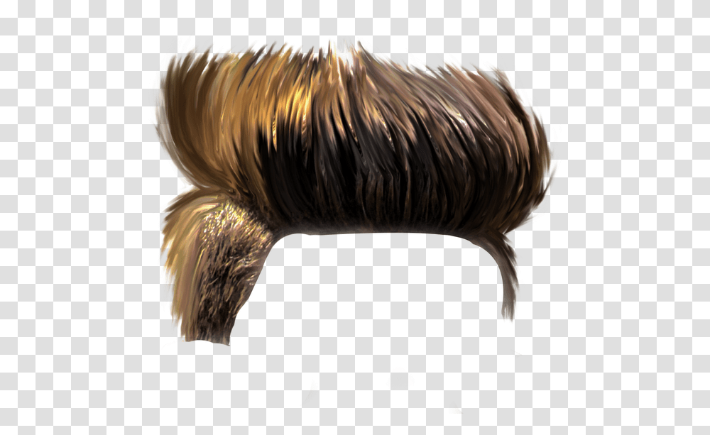 Haircut Pngstickers Hairstyle Pngedit Hairpng Picsart Hair Style, Chicken, Bird, Animal, Lighting Transparent Png