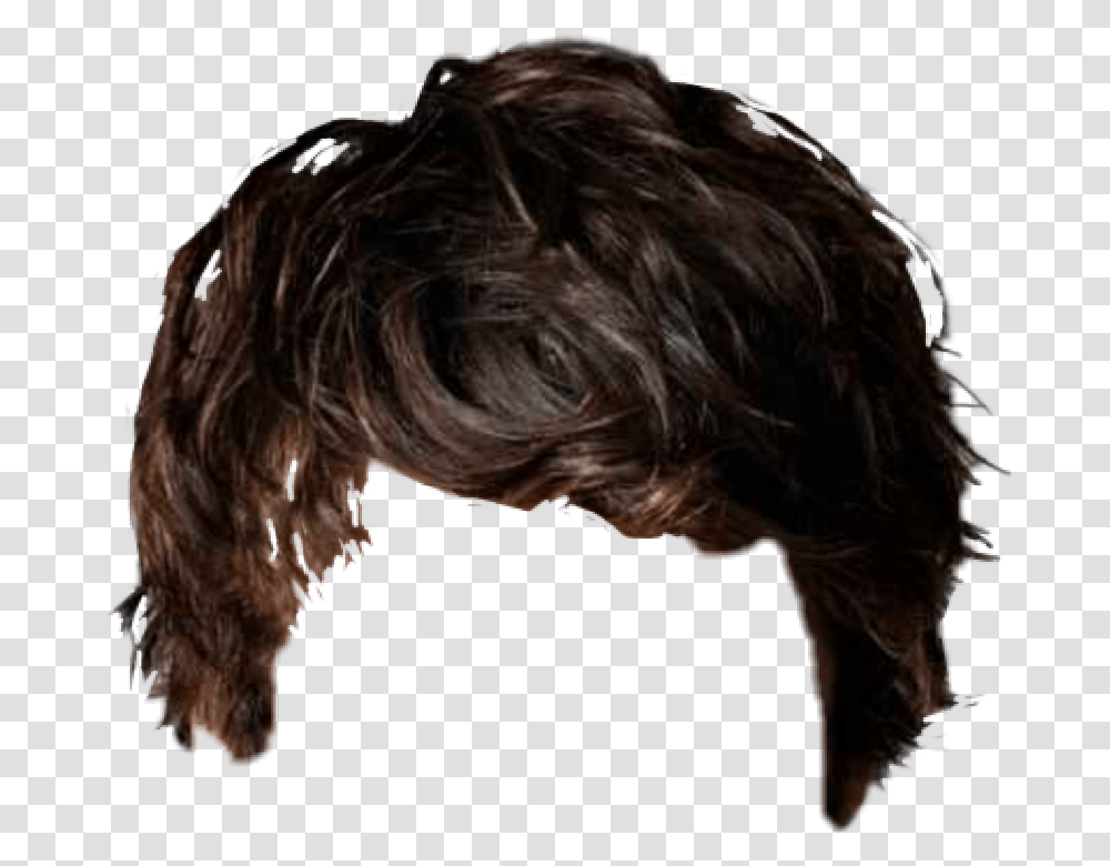 Haircut Shorthair Picsart Hair Hairstyle, Person, Animal, Mammal, Canine Transparent Png