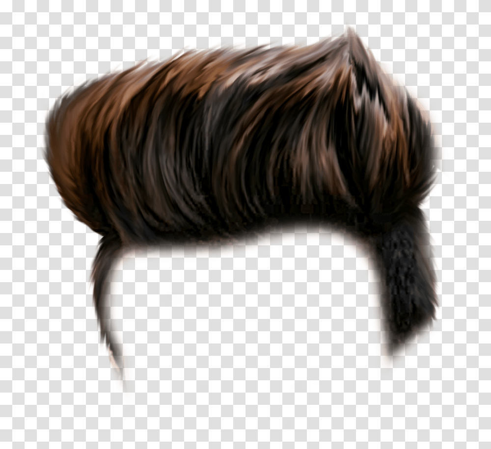 Hairs & Free Hairspng Images 94746 Pngio Background Hd Hair, Mammal, Animal, Wildlife, Horse Transparent Png