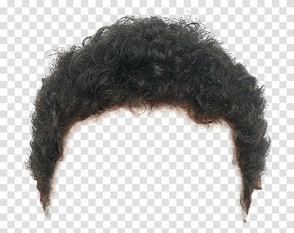 Hairstyle Beard Moustache Long Hair Beard Background, Fur, Animal Transparent Png