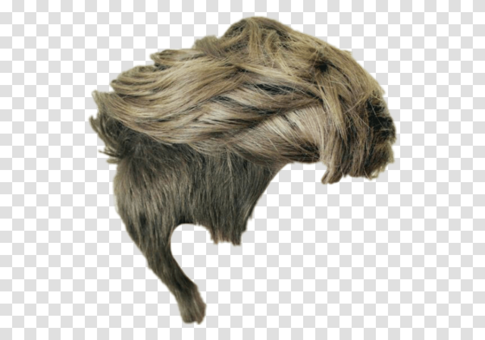 Hairstyle, Bronze Transparent Png