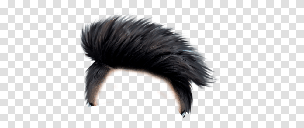 Hairstyle For Men, Bird, Animal, Person Transparent Png