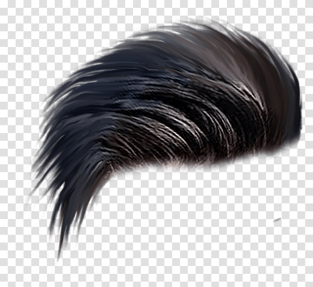 Hairstyle For Picsart, Nature, Bird, Animal, Sea Transparent Png